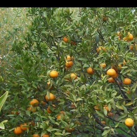 Le Querce Baja Sardinia Baja Sardinia