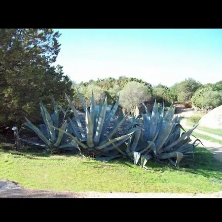 Le Querce Baja Sardinia Prázdninový dům Baia Sardinia